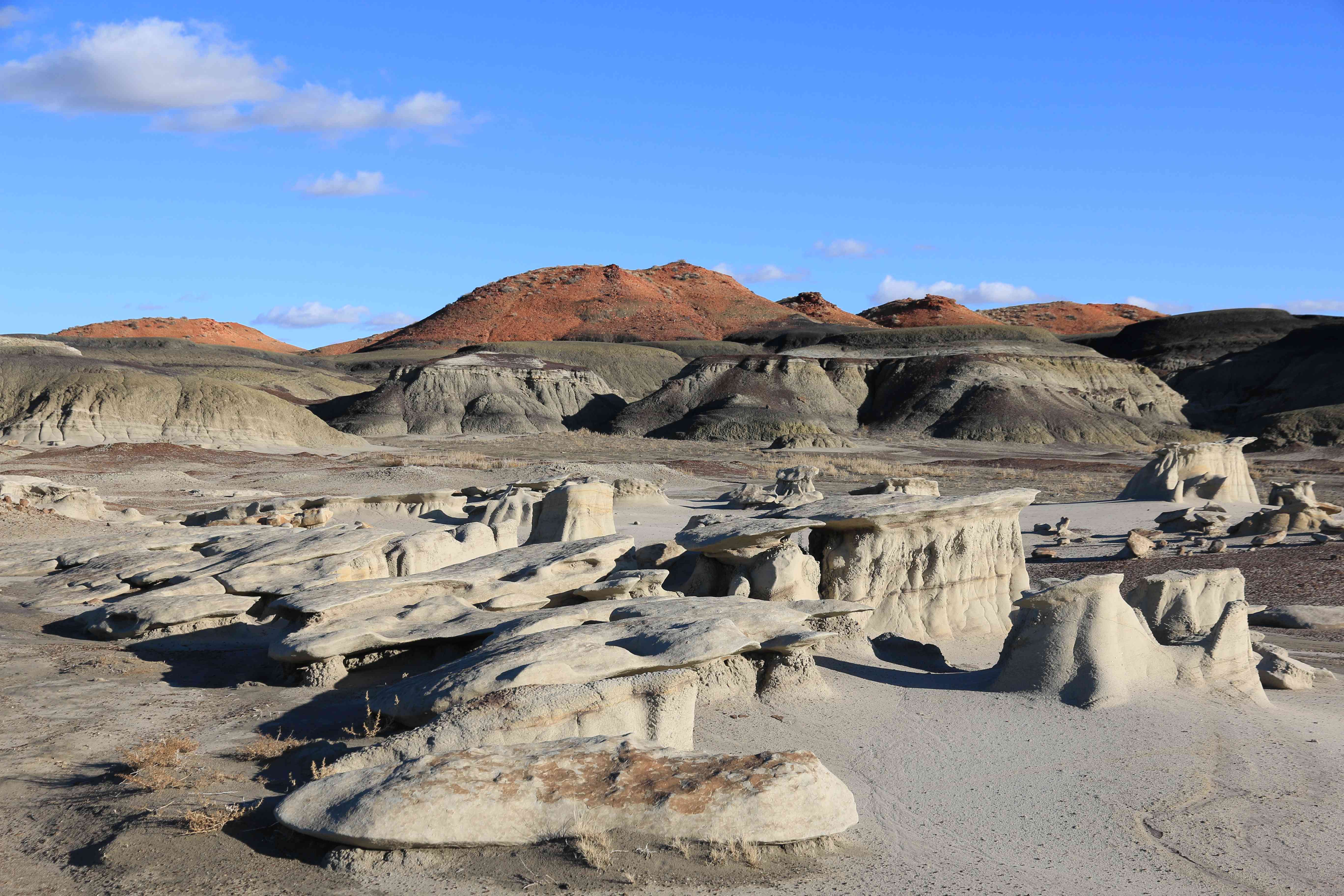 Bisti Badlands